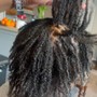 Natural Retwist - Traditional Locs