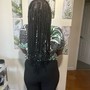 Medium large knotless braids