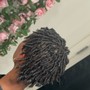 Comb Twist