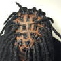 Loc Retwist