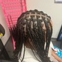 Two Strand Twists