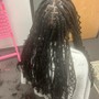 Small Senegalese Twists