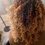 Loc Coils