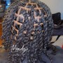 Senegalese Twist