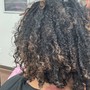 Individual Boho Braids (Natural Hair)