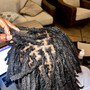 Starter Dreadlocks