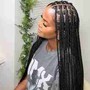 Knotless Braids with hair included mid back