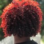 The Wash + Go