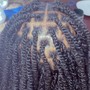 Starter Dreadlocks