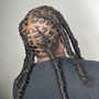 Kids Braids (no extensions)