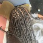 Soft Locs (8-22inches )