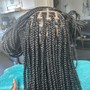 Knotless Box Braids (lrg)