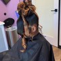 Extended Ponytail braid/ weave