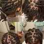 Starter Locs