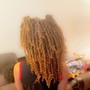 Senegalese Twist