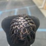 Retwist & Style (shoulder Length)