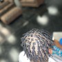 Starter Locs