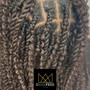 Two Strand Twist