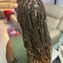 2-Braids Feed In