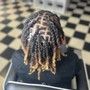 Starter Dreadlocks