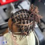 Two strand twist Dreadlocks