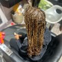 Starter Locs