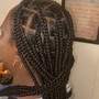 medium senegalese twists