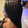 Tribal Braids(Med/Midback)