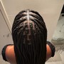 Tribal Braids(Med/Midback)