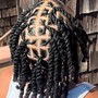 Starter Dreadlocks