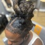 Root Touch Up