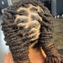 2-Strand Starter Locs (up to 70)