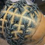 2-Strand Twist (mid back)