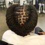 2-Strand Twist (mid back)