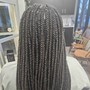 Two strand Twist style