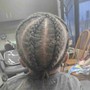 Starter locs (instant loc method)