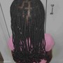 Kids Box Braids