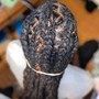 Two Strand Twist