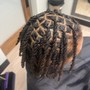 Starter Locs