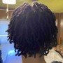 Starter Locs/ Coils