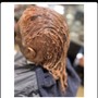 Crochet Braids or twist