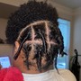 Starter locs