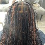 Dreadlocks starter medium