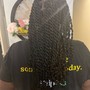 Tree Braids