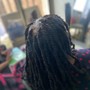 Medium Soft locs