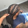 Starter Locs