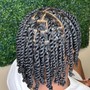 Two strand Twists (natural hair)