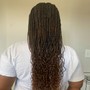 Box/regular Braids Mid back length