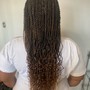 Box/regular Braids Mid back length