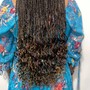 Senegalese Twist mid back length